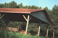 Summer Read Teen Party