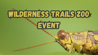 Wilderness Trails Zoo Event